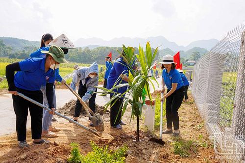Định Hóa phấn đấu về đích nông thôn mới: 'Trái ngọt' từ sự đồng thuận