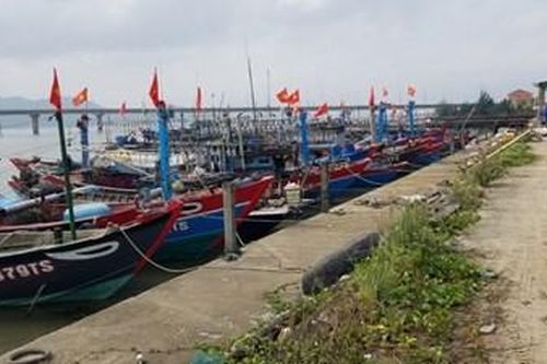 Cấm tàu thuyền ra khơi vào sáng 25/9