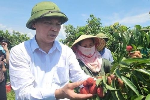 Thanh Hóa phát triển nông nghiệp bền vững