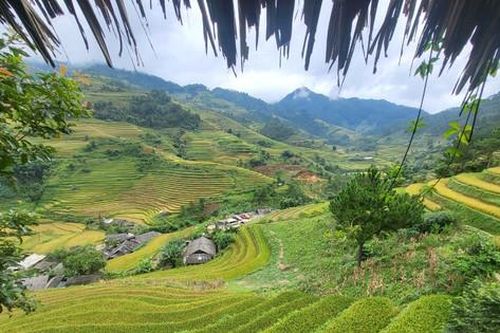 'Những chiếc thang tuyệt vời leo lên bầu trời Tây Bắc'
