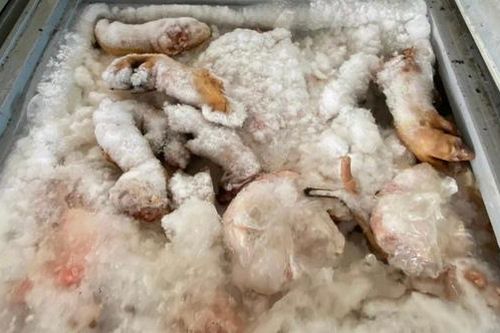 Kinh hoàng 3 tấn thịt lợn rỉ nước, bốc mùi hôi thối chuẩn bị bày bán cho người dân
