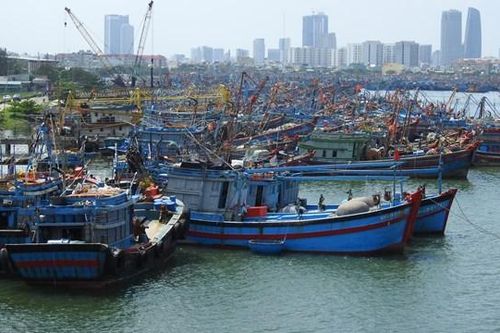 Đà Nẵng: 107 tàu thuyền và 1.140 lao động còn hoạt động trên biển