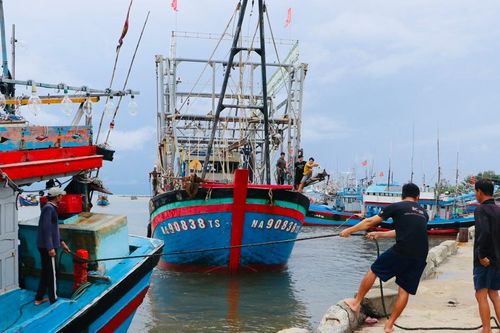 Quảng Ngãi: Tàu thuyền hối hả vào bờ tránh áp thấp nhiệt đới
