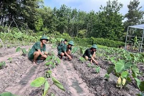 Dân quân các chốt sáng tạo tăng gia sản xuất