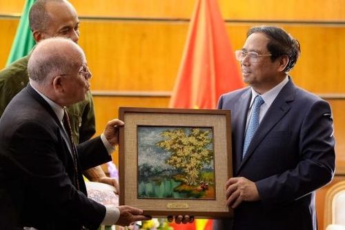 Hình ảnh Bác Hồ, 'cây tre Việt Nam' truyền cảm hứng yêu chuộng hòa bình tại Brazil