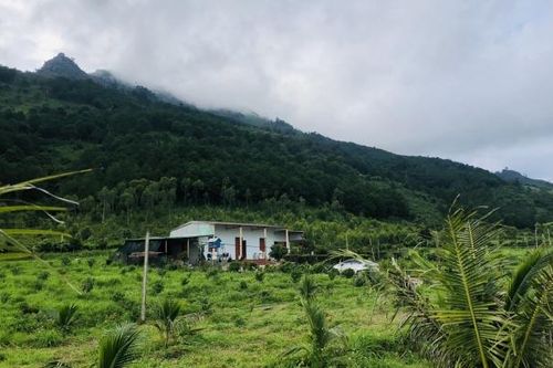 Gia Lai: Kịp thời tìm thấy 3 chị em bị lạc trên núi Chư Nâm