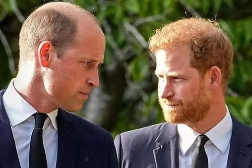 Harry nói William làm tan nát trái tim