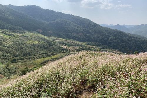 Miền đất đá nở hoa