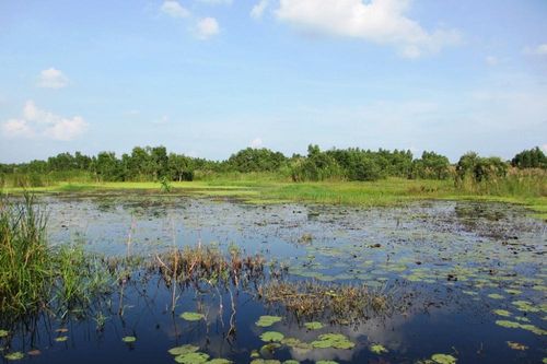 Ngao du trên hồ Biển Lạc