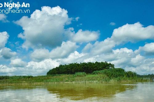 Những lão nông ở Thanh Chương biến bãi nổi thành cánh đồng trăm triệu