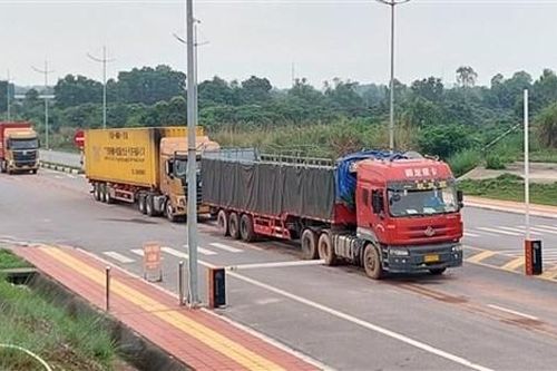 Quảng Ninh: Xuất khẩu tôm hùm trở lại bình thường ở Móng Cái