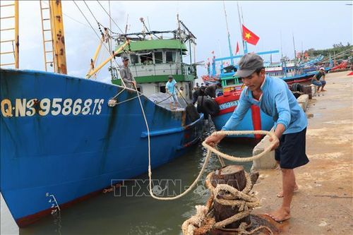Hướng dẫn ngư dân di chuyển, neo đậu tàu thuyền tại các điểm tập kết an toàn
