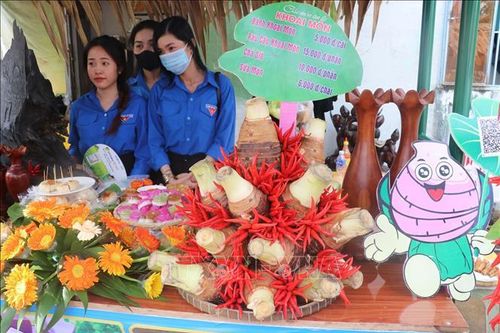 Tổ chức Ngày hội Khoai môn năm 2023