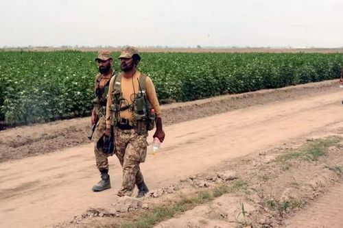 Quân đội Pakistan chuyển từ xe tăng sang máy cày để tăng gia sản xuất