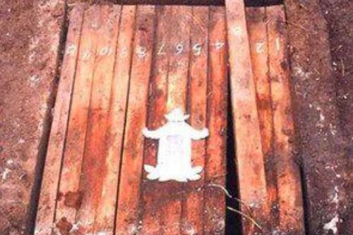 Linh cảm có thứ lạ dưới lòng đất, lão nông chạy đi báo chuyên gia: Kết quả khai quật khiến ông 'bội thu'
