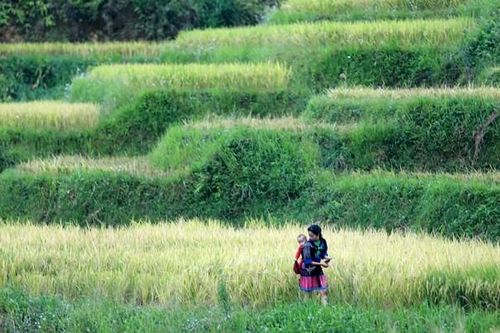 Níu chân du khách bằng các loại hình du lịch đặc biệt