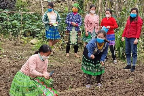 Bí quyết thực hiện '3 sạch' giúp hội viên dân tộc thiểu số làm kinh tế