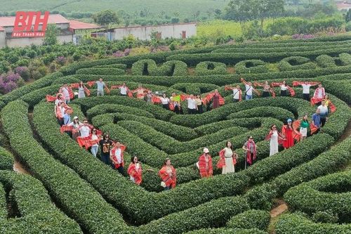 Khảo sát điểm đến, dịch vụ du lịch trên địa bàn Mộc Châu