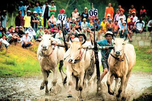 An Giang bảo tồn, phát huy giá trị lịch sử - văn hóa