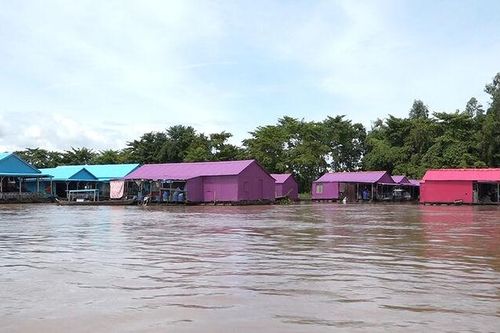 Bí thư Huyện ủy An Phú khảo sát làng bè đa sắc màu, tạo kết nối thu hút du khách