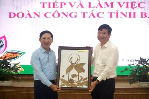 Đồng Tháp chia sẻ với tỉnh Bắc Giang kinh nghiệm phát triển kinh tế tập thể liên kết theo chuỗi giá trị