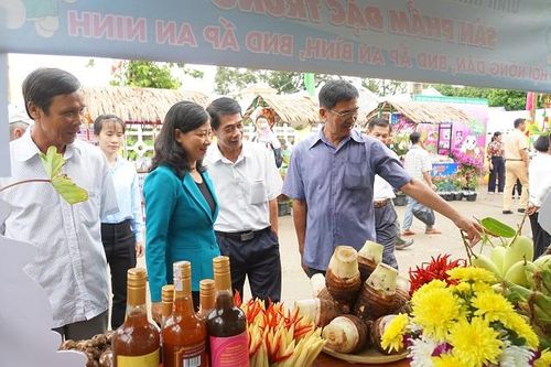 Bảo tồn và phát huy tiềm năng, giá trị từ khoai môn
