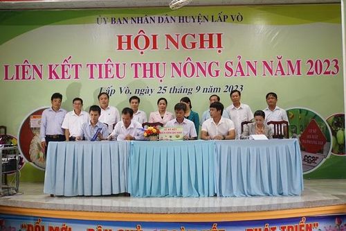 Kết nối tiêu thụ nông sản huyện Lấp Vò