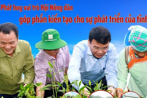 Phát huy vai trò Hội Nông dân góp phần kiến tạo cho sự phát triển của tỉnh