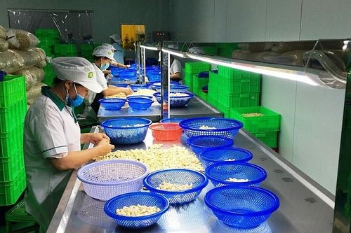 Hàng Việt có nhiều thế mạnh để xuất khẩu sang thị trường Nam Phi