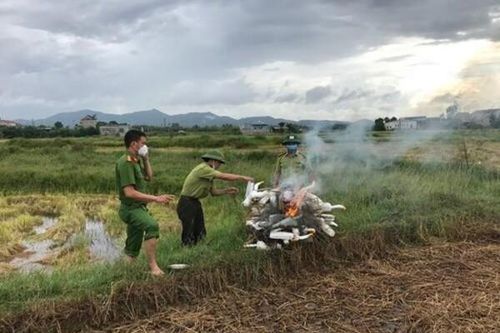 Hà Tĩnh: Tiêu hủy hàng trăm dụng cụ bẫy chim trời