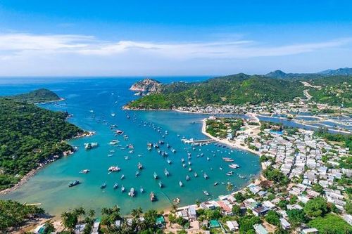 Dự án nghỉ dưỡng của BIM Group lấy gần 12 ha rừng thuộc Vườn quốc gia Núi Chúa?