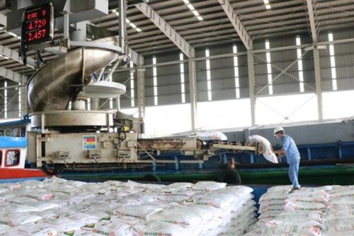 Các yếu tố tác động đến kinh doanh của Đạm Cà Mau nửa cuối 2023
