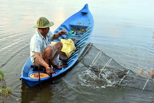 Mô hình nuôi tôm quảng canh cải tiến được triển khai rộng rãi tại Cà Mau