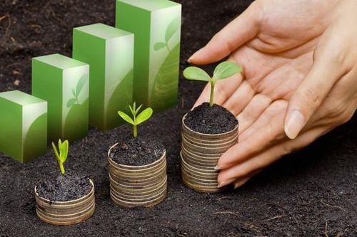 Nhiều nhà đầu tư tiền ảo rơi vào thua lỗ mặc dù biết rõ quy luật 90-90-90