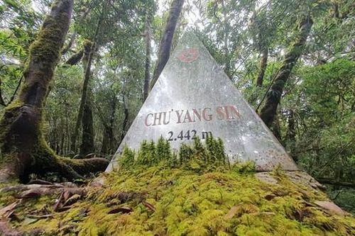 Kỳ 1: Xác chết ở thượng nguồn sông Krông Kmar