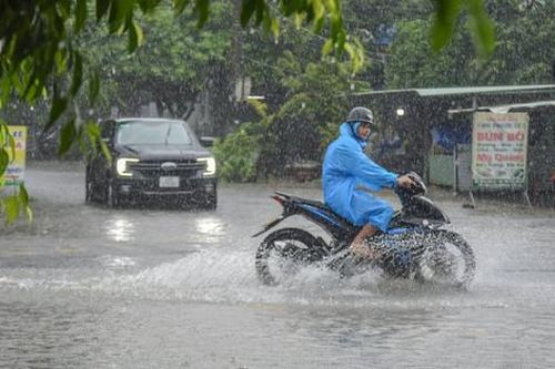 Đà Nẵng khẩn trương ứng phó áp thấp nhiệt đới