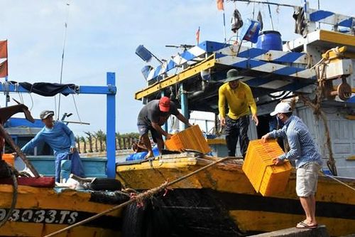 Bà Rịa – Vũng Tàu: Kiến nghị xử lý tình trạng tàu cá đánh bắt thủy sản bằng thuốc nổ