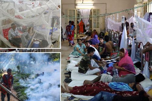 Nguyên do đẩy dịch sốt xuất huyết ở Bangladesh thành khủng hoảng chết người