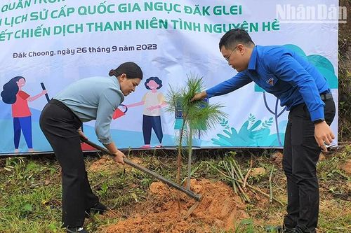 Kon Tum: Ra quân trồng cây tại Di tích lịch sử quốc gia Ngục Đăk Glei