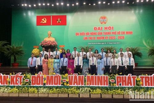Xây dựng 426 mô hình nông nghiệp công nghệ cao theo chuỗi