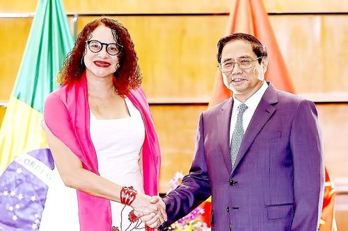 Việt Nam và Brazil đề cao hợp tác đa phương