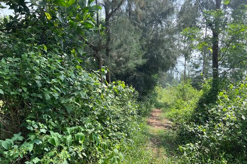 Nhiều bất thường vụ 'lùm xùm' cấp sổ đỏ ở Thanh Hóa