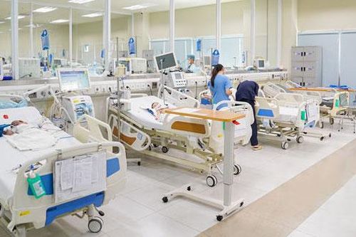 Trẻ tử vong sau khi bị ong đốt hơn 100 nốt
