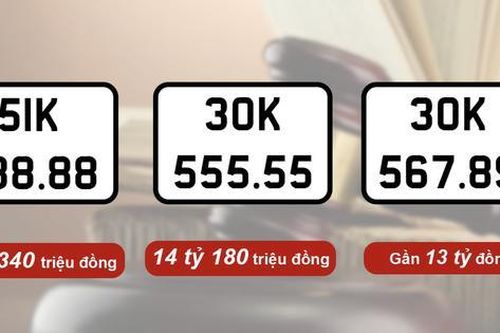 95 biển số ô tô đã đấu giá, mới có 7 người nộp tiền