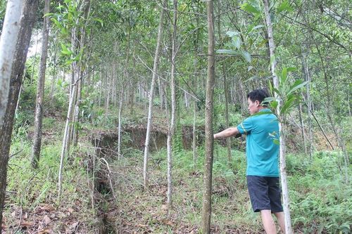 40 hộ dân ở Quảng Bình sống thấp thỏm bên sườn núi nứt toác