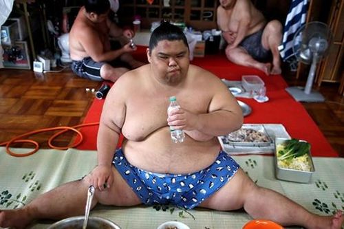 Vì sao võ sĩ Sumo nặng hàng trăm cân vẫn khỏe mạnh, không bị coi là béo phì?