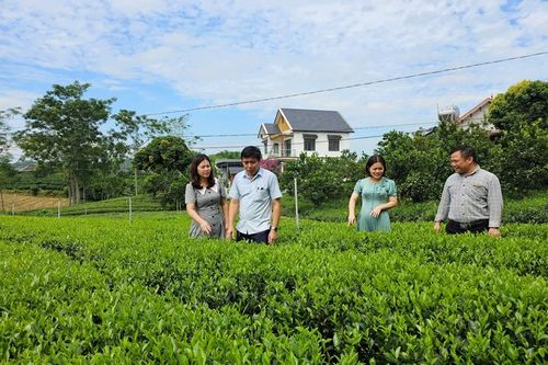 Phấn đấu đạt chuẩn huyện nông thôn mới vào năm 2024