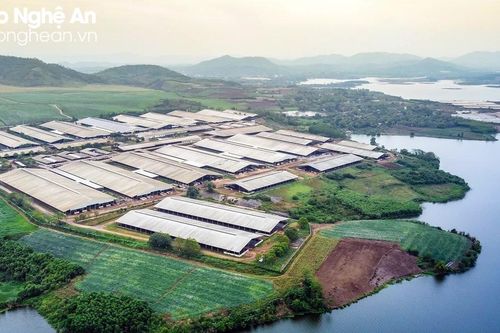 Cụm trang trại đạt kỷ lục thế giới của Tập đoàn TH: Đòn bẩy cho phát triển nông nghiệp sạch Việt Nam