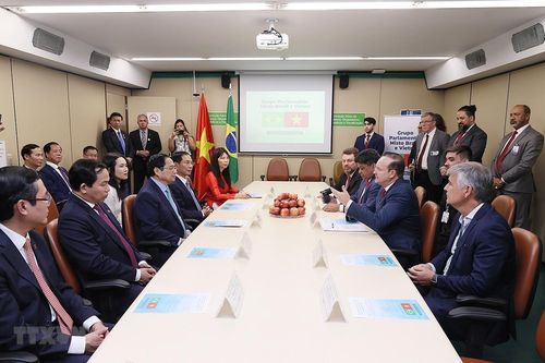 Thủ tướng tiếp Chủ tịch Nhóm Nghị sỹ Hữu nghị Brazil-Việt Nam