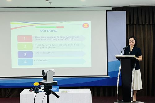 Việt Nam triển khai nhiều hoạt động bảo vệ quyền của phụ nữ và trẻ em